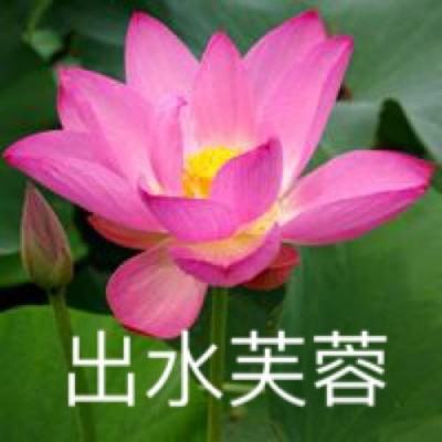 伊卡洛斯m国际服下载